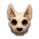 Scruffy Bumps Palm Skull